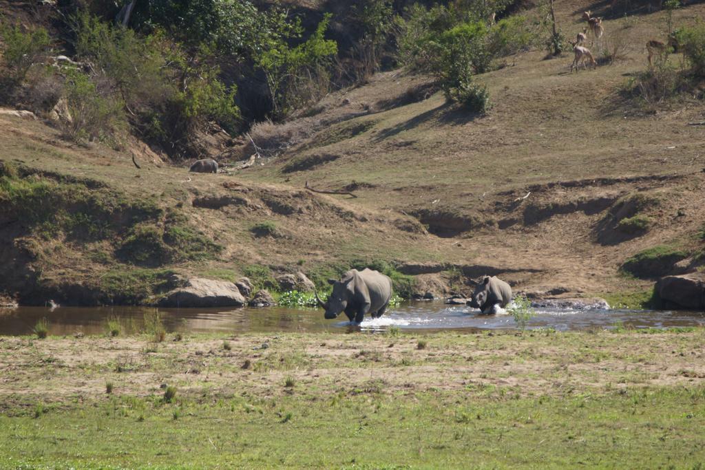 Tau @ Kruger Villa Marloth Park Exterior photo